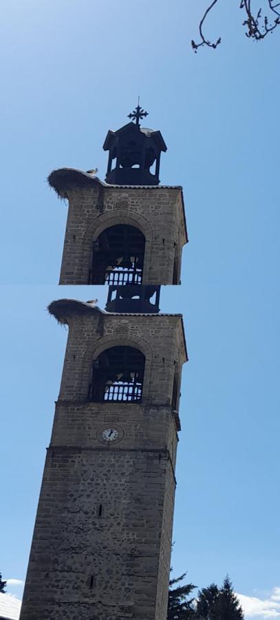 Bizev Hotel بانسكو المظهر الخارجي الصورة